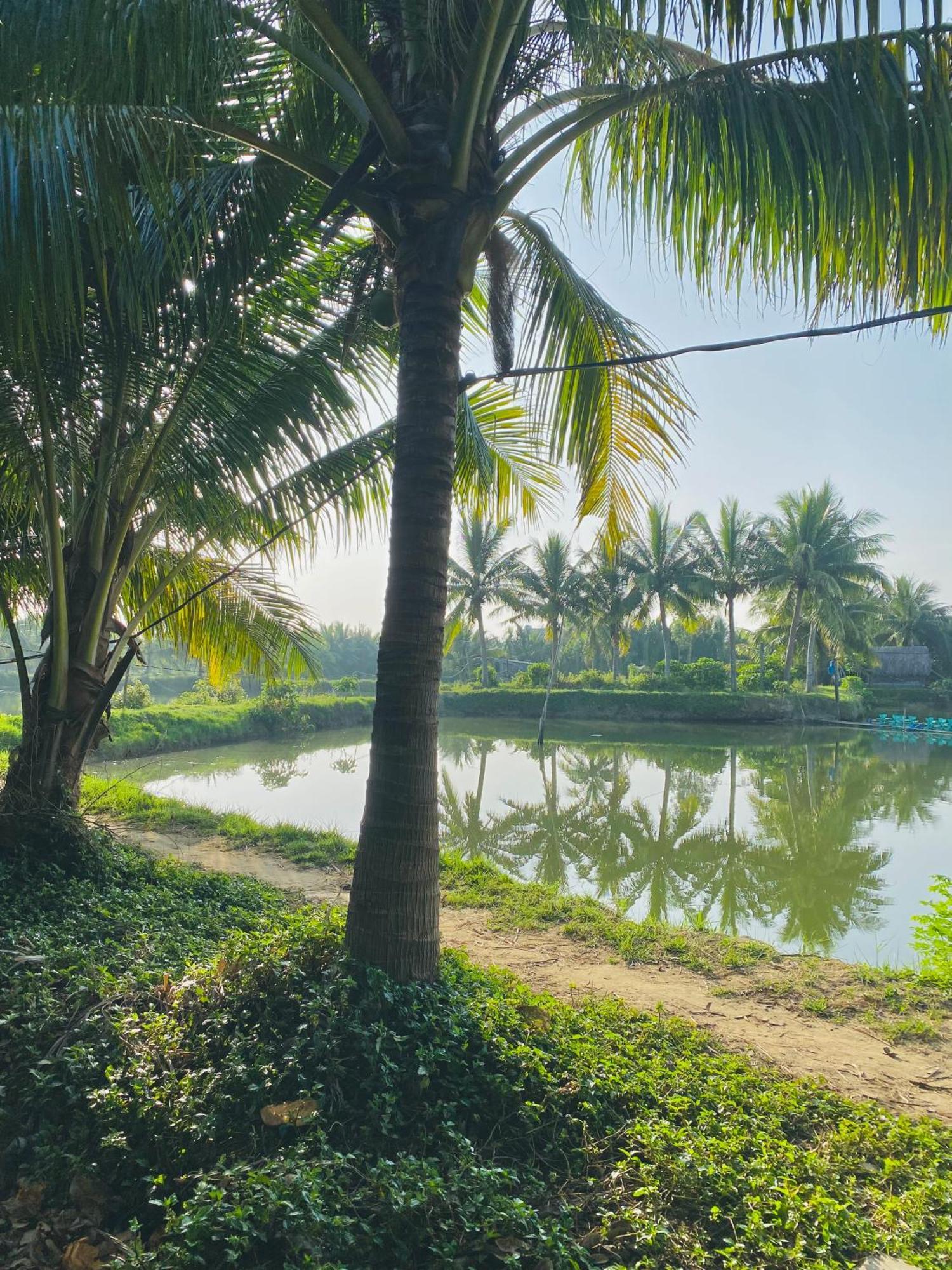 Laoxao Lakeview Homestay Hoi An Exteriör bild
