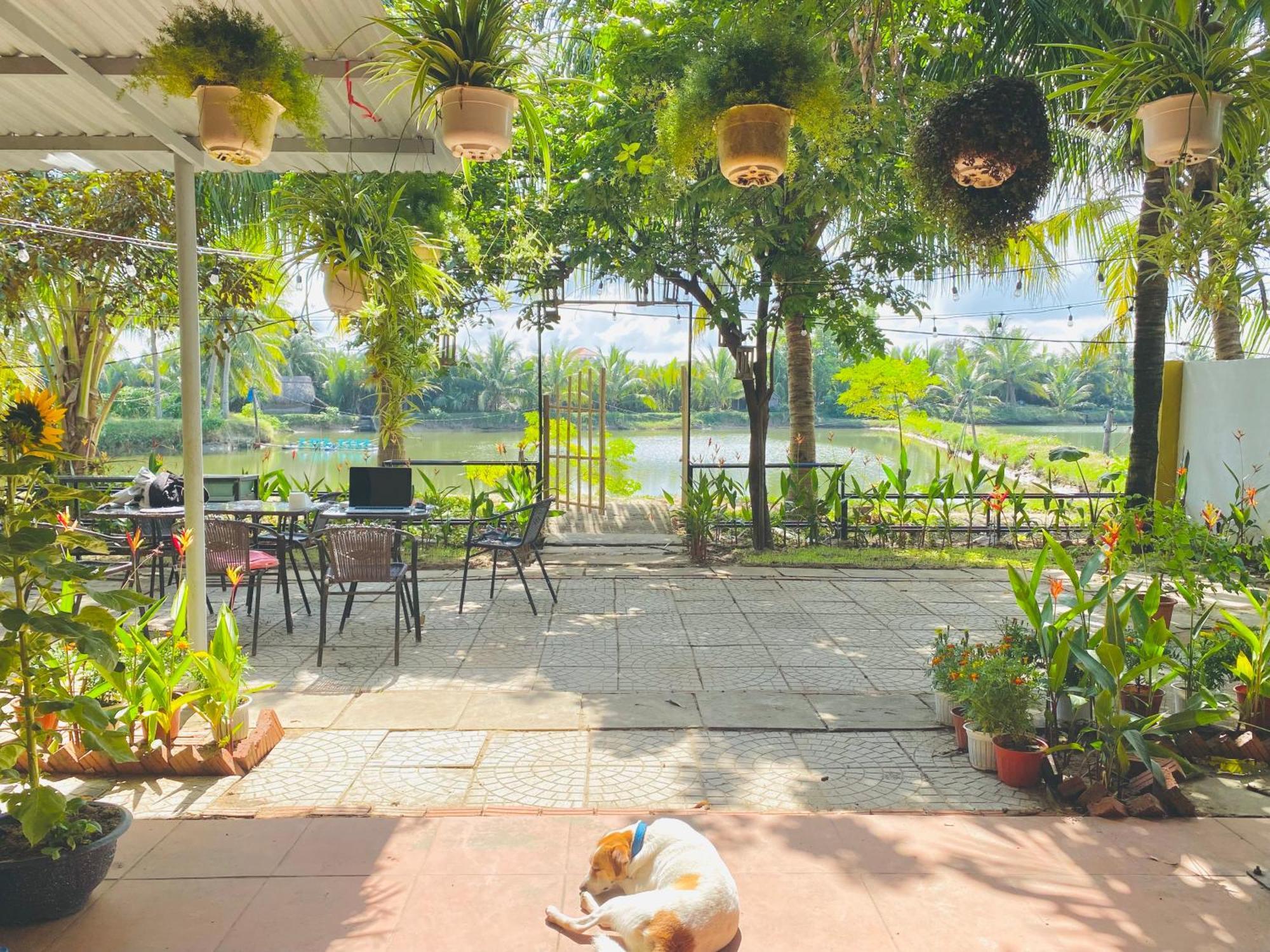 Laoxao Lakeview Homestay Hoi An Exteriör bild